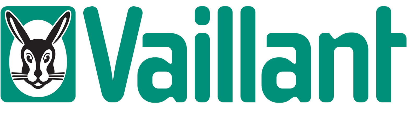 vaillant1_1